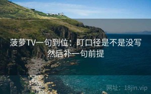 菠萝TV一句到位：盯口径是不是没写然后补一句前提