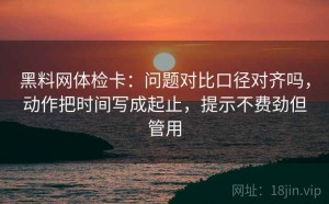 黑料网体检卡：问题对比口径对齐吗，动作把时间写成起止，提示不费劲但管用